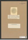 Coscinodiscus coronatus Castr. (de-Toni-Nr.: Genus 202, Species 5194) Zeichnungen Sammlung Grunow Nr. 8908 (NHMW-BOT-W0378570)